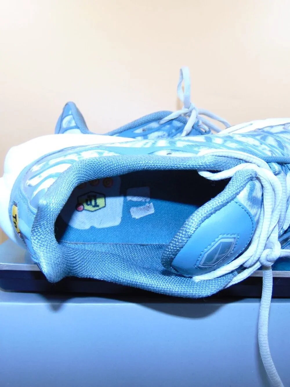 Size 12 - Nike Air Max Plus Palm Pack - Waterway